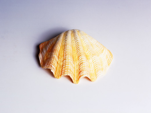 401216 (a): :1600x1200